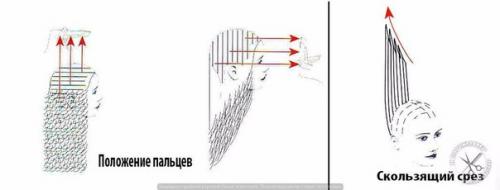 Прогрессивные формы стрижек: 02 Прогрессивные формы стрижек: 02