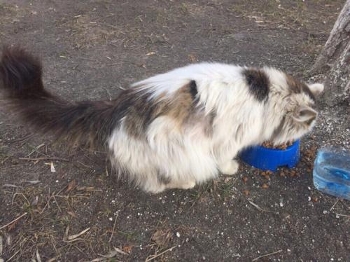 Милейшая звездочка любящие ручки ищет! 07