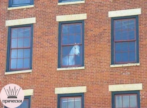 На этих фото больше загадок, чем объяснений. 08