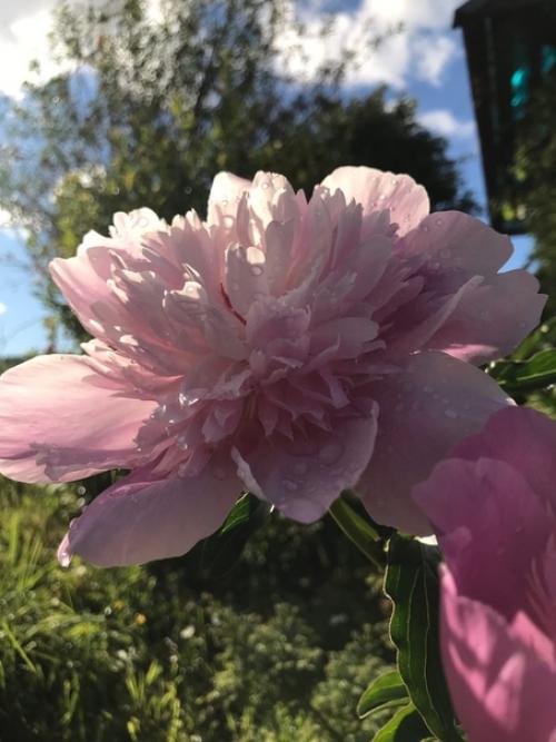 В прошлые выходные был день медицинского работника. 04