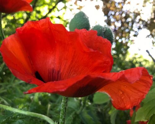 В прошлые выходные был день медицинского работника. 03