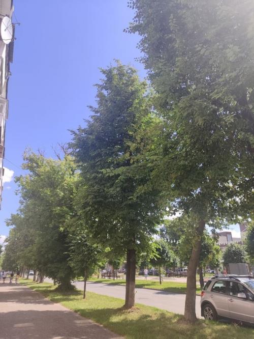 Тени исчезают в полдень. 07 Тени исчезают в полдень. 07