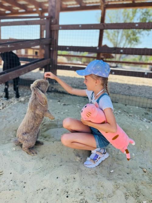 Парк Альпак - уютное местечко среди меловых гор под Воронежем, где альпак можно пожамкать за шубки. 05