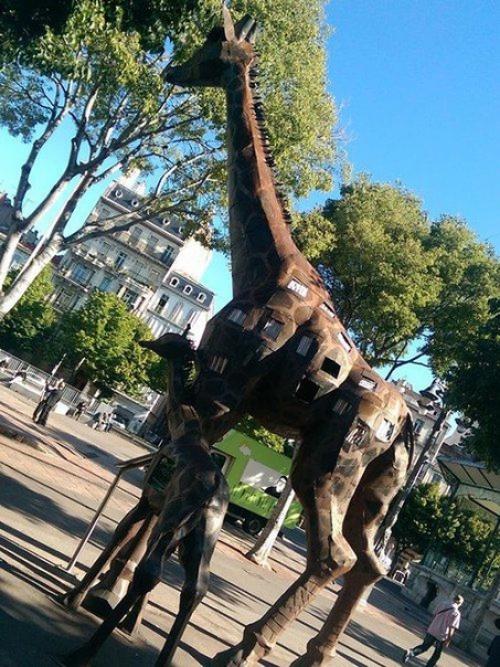 На главной улице Марселя уже несколько лет стоит оригинальная библиотека - буккросинг в виде высокого жирафа с детёнышем. 01 На главной улице Марселя уже несколько лет стоит оригинальная библиотека - буккросинг в виде высокого жирафа с детёнышем. 01