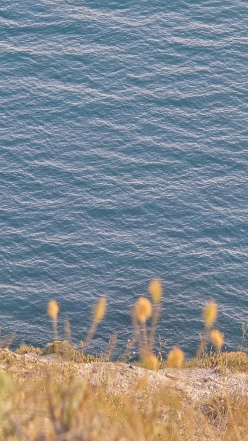 В случае если вы бывали в г. Анапа, то наверняка побывали на самой высокой её точке, а именно на горе под названием Лысая. 09