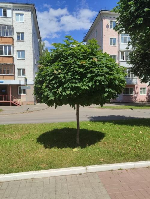 Тени исчезают в полдень. 04 Тени исчезают в полдень. 04