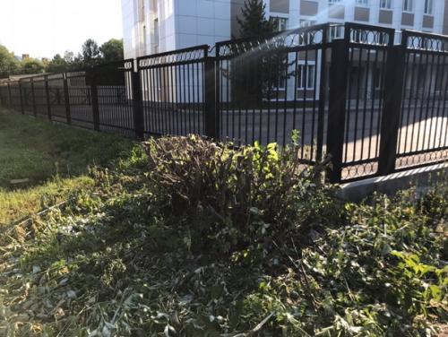 Помните такую поговорку: заставь дурака богу молиться, так он и лоб расшибет? 03