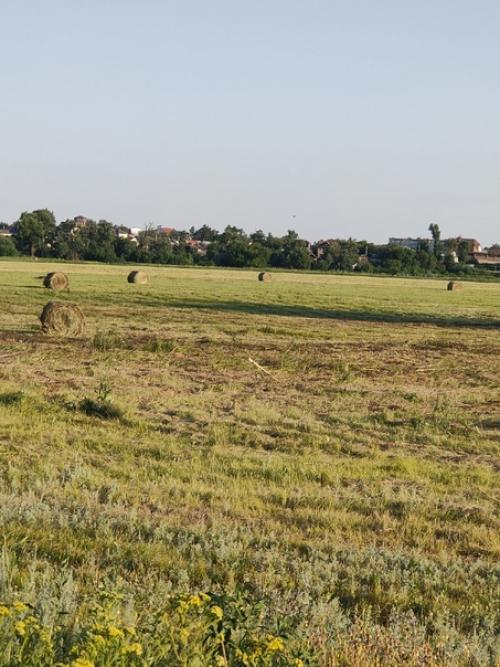 Сенокос, сенокос!  Луг без волос остался! 01