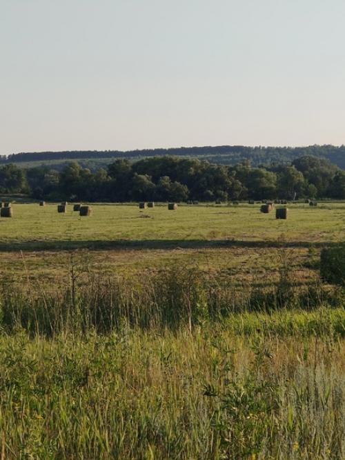 Сенокос, сенокос!  Луг без волос остался! 02