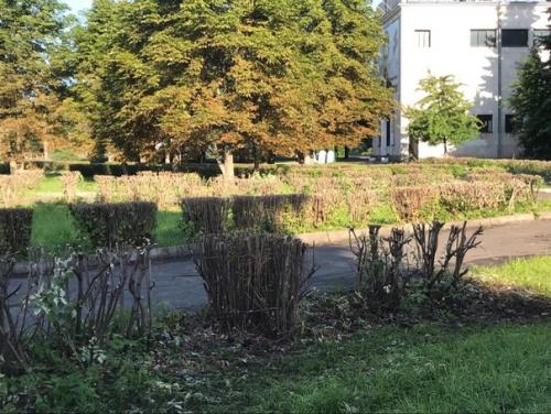 Помните такую поговорку: заставь дурака богу молиться, так он и лоб расшибет? 01