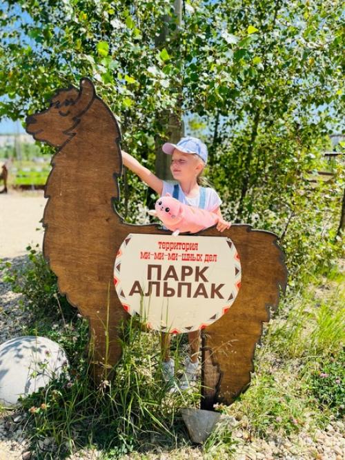 Парк Альпак - уютное местечко среди меловых гор под Воронежем, где альпак можно пожамкать за шубки. 04