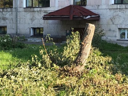 Помните такую поговорку: заставь дурака богу молиться, так он и лоб расшибет? 04