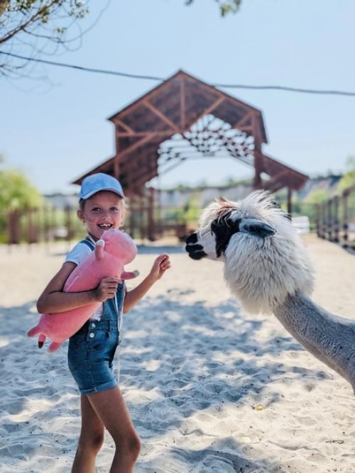 Парк Альпак - уютное местечко среди меловых гор под Воронежем, где альпак можно пожамкать за шубки. 02