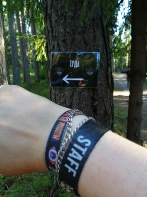 В прошлое воскресенье поехали мы погулять. 07 В прошлое воскресенье поехали мы погулять. 07