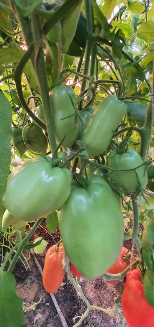 В Багдаде всё спокойно. 04 В Багдаде всё спокойно. 04