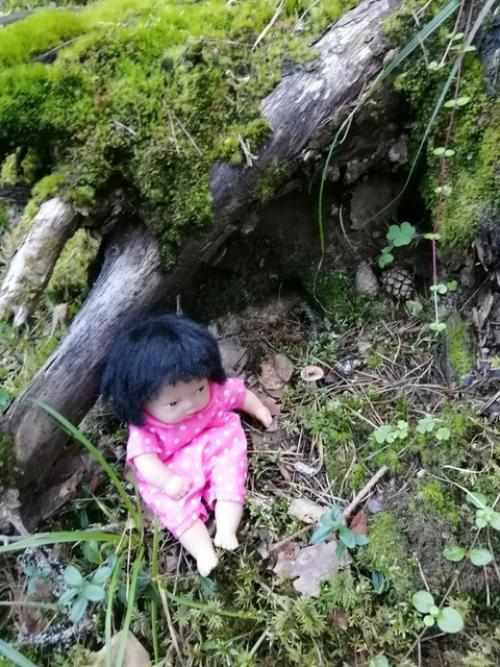 В прошлое воскресенье поехали мы погулять. 05 В прошлое воскресенье поехали мы погулять. 05