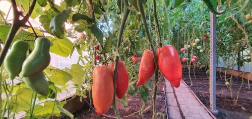 В Багдаде всё спокойно. 01 В Багдаде всё спокойно. 01