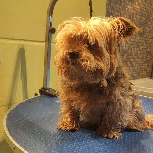 Кузя знает, что надо делать, чтобы помолодеть. 02