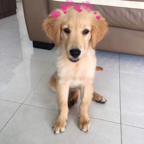 Как стать принцессой? 01