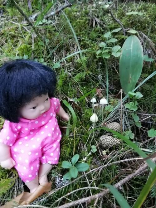 В прошлое воскресенье поехали мы погулять. 04 В прошлое воскресенье поехали мы погулять. 04