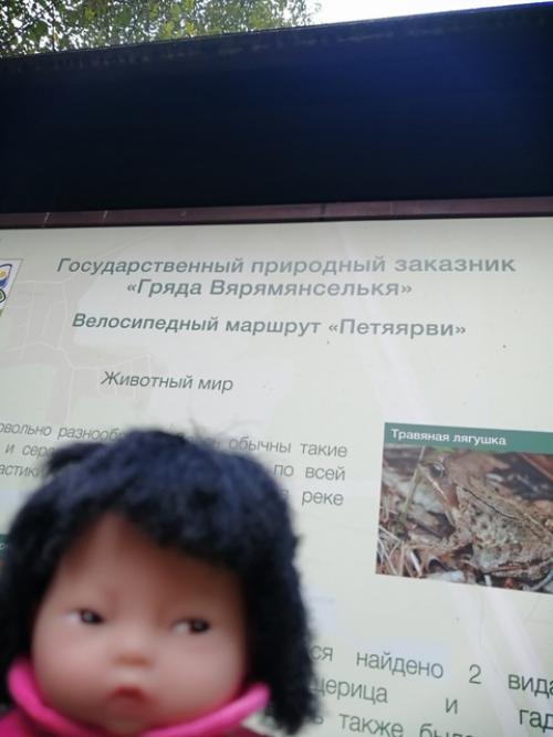 В прошлое воскресенье поехали мы погулять. 06 В прошлое воскресенье поехали мы погулять. 06