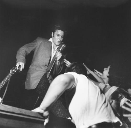 В Майами Элвис Пресли приехал в пятницу 3 августа 1956 года. 02