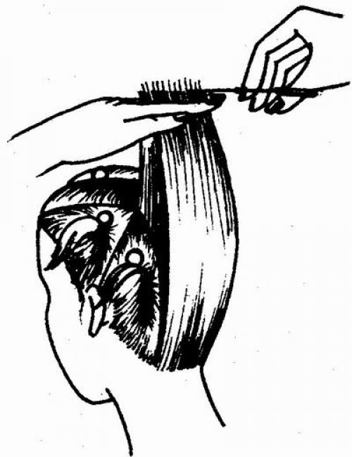 Стрижка каскад на недлинные волосы. 03 Стрижка каскад на недлинные волосы. 03