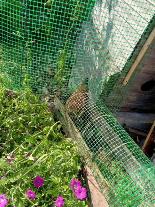 Ура!  Я сделала это! 02