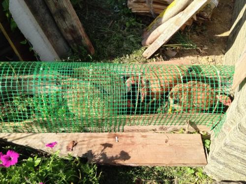 Ура!  Я сделала это! 01