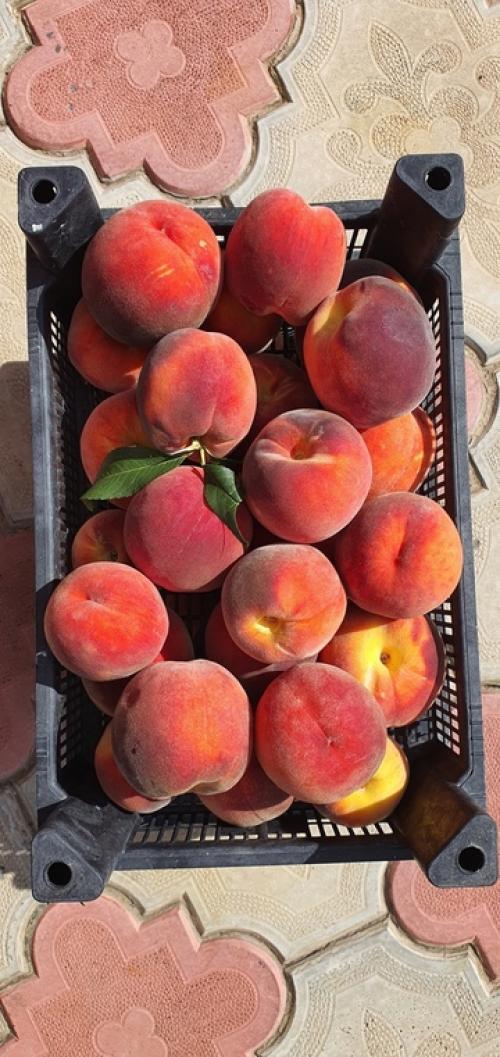 В Багдаде всё спокойно. 07 В Багдаде всё спокойно. 07