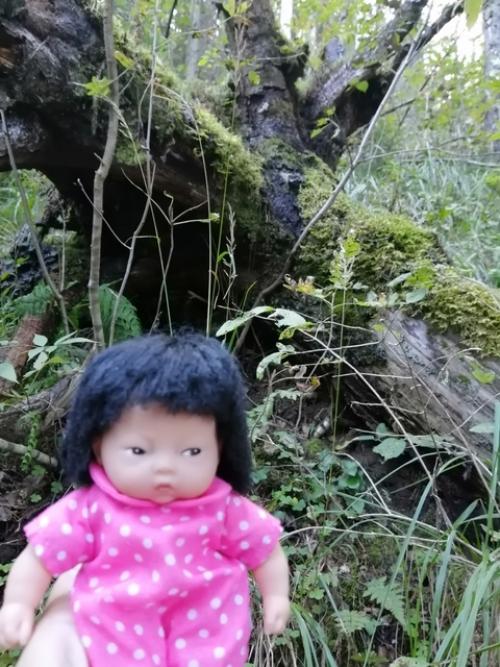 В прошлое воскресенье поехали мы погулять. 03 В прошлое воскресенье поехали мы погулять. 03