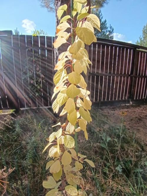 Странные мы - люди. 01 Странные мы - люди. 01