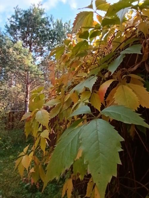 Странные мы - люди. 03 Странные мы - люди. 03