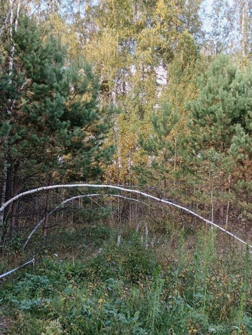 Странные мы - люди. 06 Странные мы - люди. 06