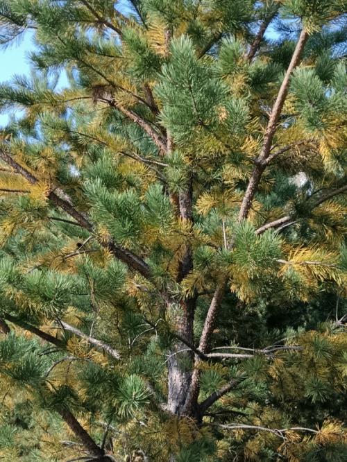 Странные мы - люди. 05 Странные мы - люди. 05