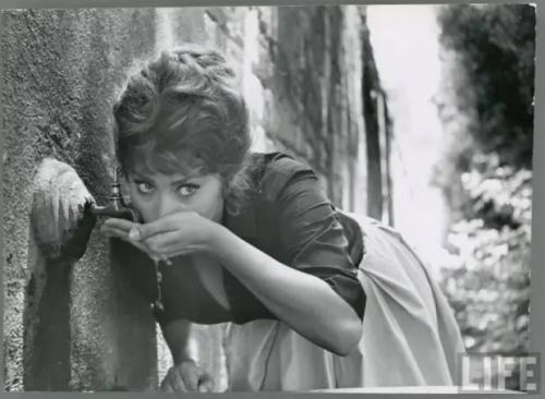 Восхитительная софи лорен в фотографиях Альфреда Эйзенштадта. 04