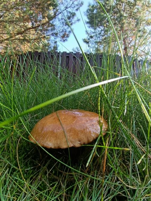 Странные мы - люди. 02 Странные мы - люди. 02