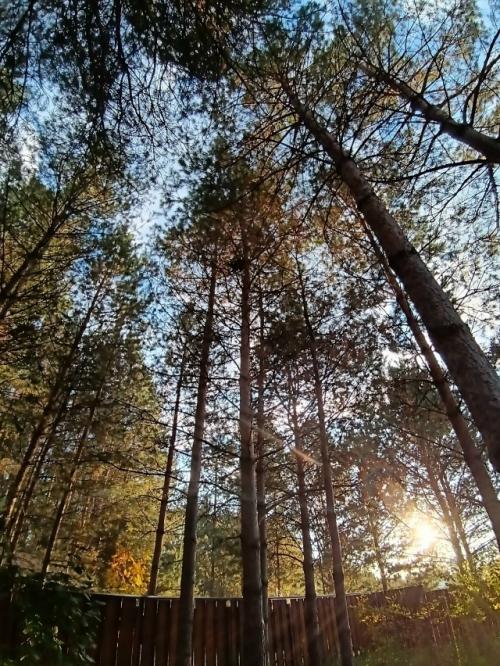 Странные мы - люди. 08 Странные мы - люди. 08